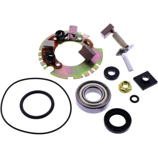 STARTER MOTOR REPAIR KIT