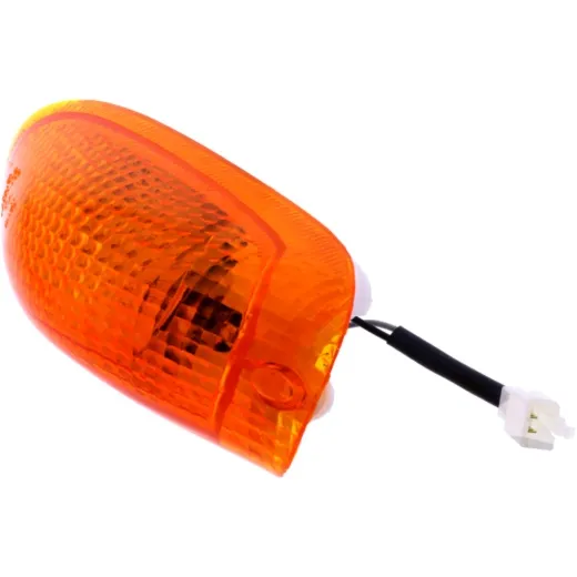 Indicator front left