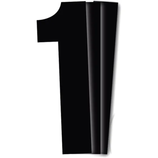 Race numbers no.1 black bird racing 1108298