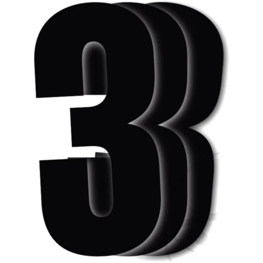Race numbers no.3 black bird racing