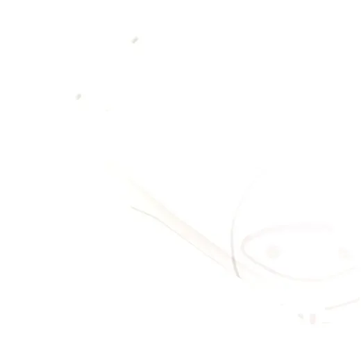 fender / guard plate rear white 8595900002