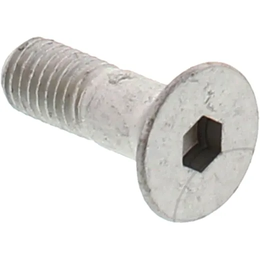 Brake disc bolt AP8152196