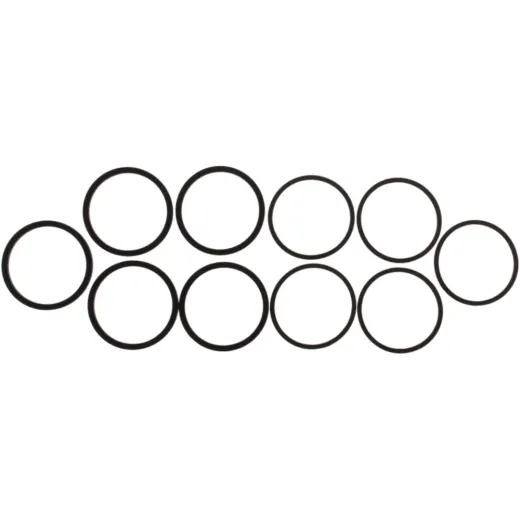 Seal Kit Caliper Piston CPS205