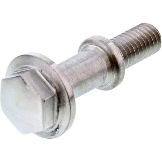 Bolt 1100913
