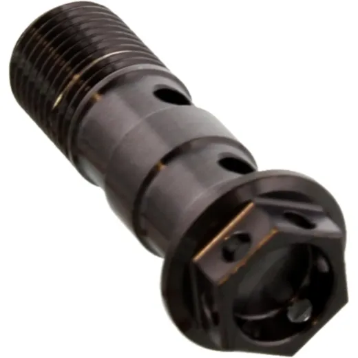 Banjo bolt double m10x1.00 LSSBANJOD10FRBK