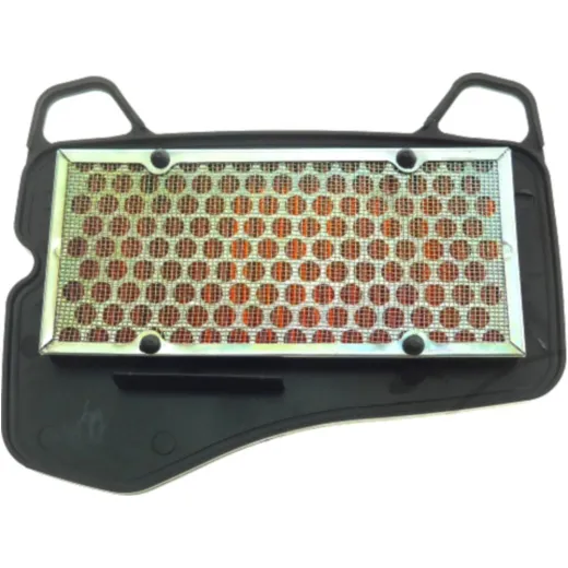 Air filter (orig spare part) 17210KWWC00