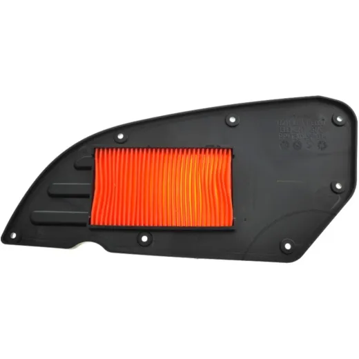 Air filter (orig spare part) 11013Y004