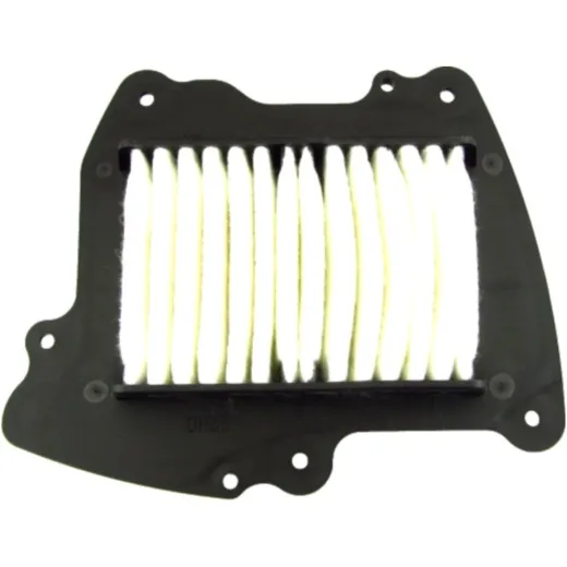 Air filter (orig spare part) 1378022H00000