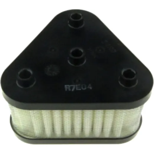 Air filter (orig spare part) 1378024H00000