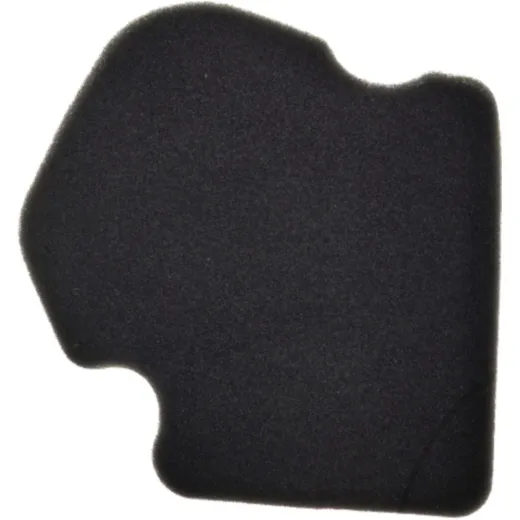 Air filter (orig spare part) 1378034F50000