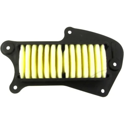 Air filter (orig spare part) 1378048G20000
