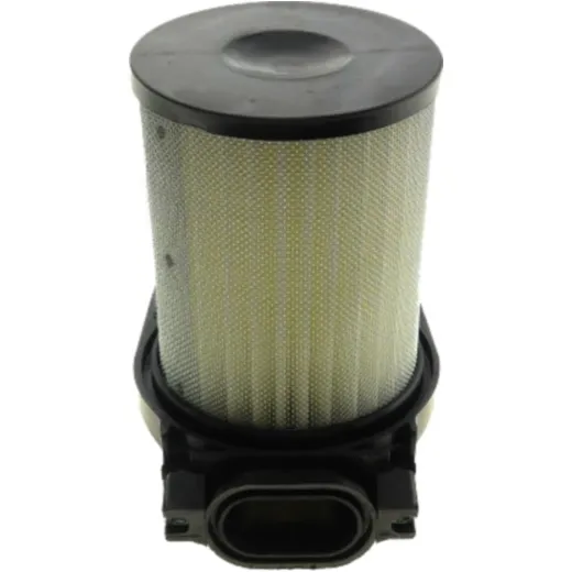 Air filter (orig spare part) 4HM1445000