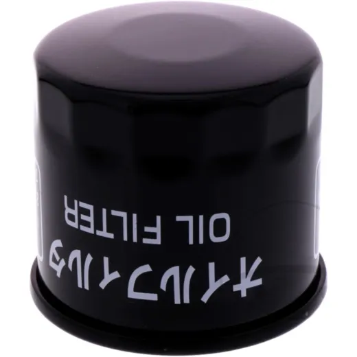 Ölfilter Originalersatzteil 160970012