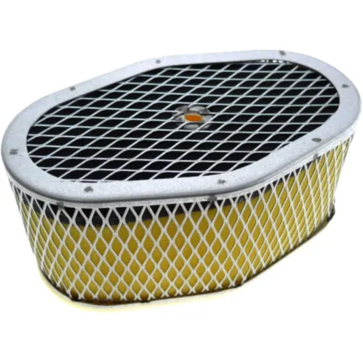 Air filter (orig spare part) 110131103