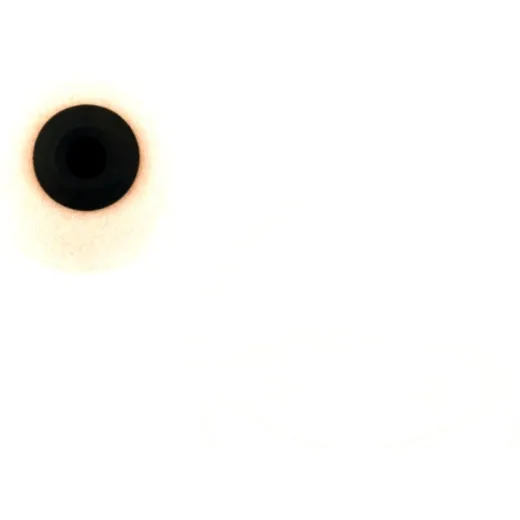 Rennluftfilter Foam Twin AIR 968252