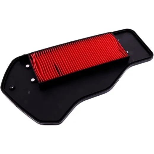 Air filter (orig spare part) 1004232