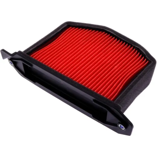 Air filter (orig spare part) 1012888