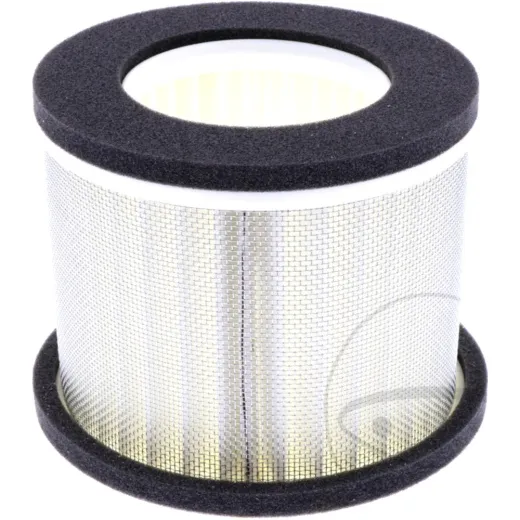 Air filter (orig spare part) 1012895