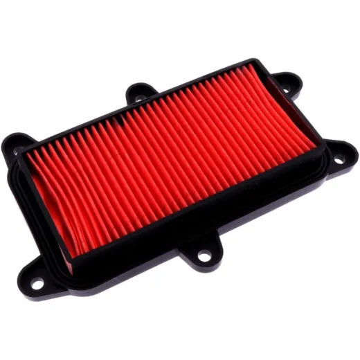 Air filter (orig spare part) 1053844