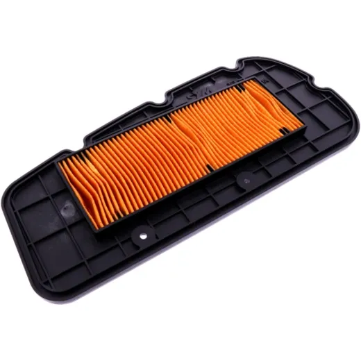 Air filter (orig spare part) 1054870