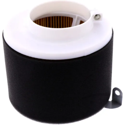Air filter (orig spare part) 1056135