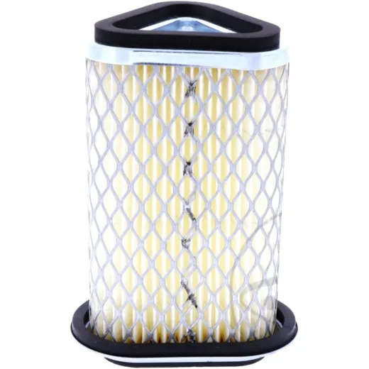 Air filter (orig spare part) 1061865