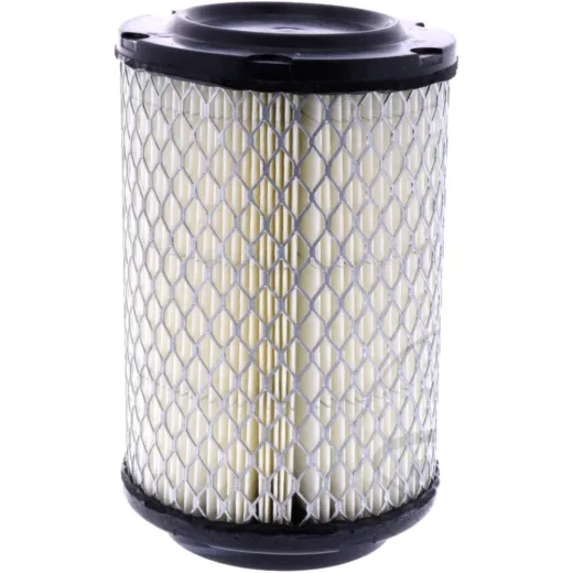 Air filter (orig spare part) 1061866