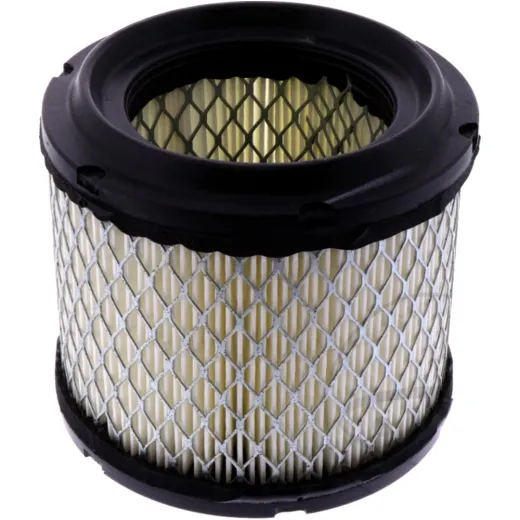 Air filter (orig spare part) 1061867