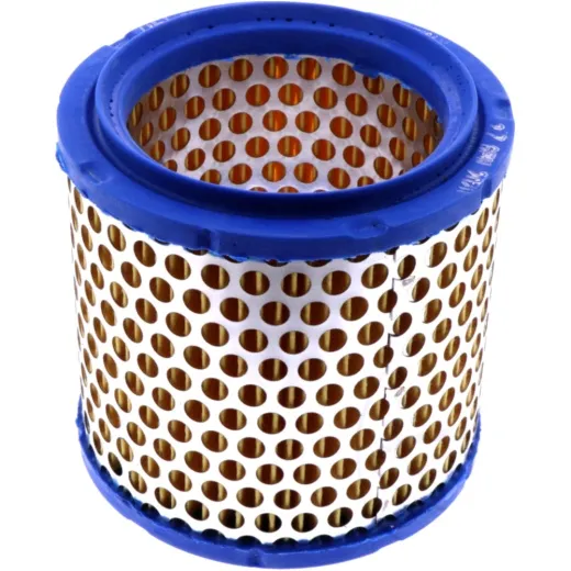 Air filter (orig spare part) 1105100