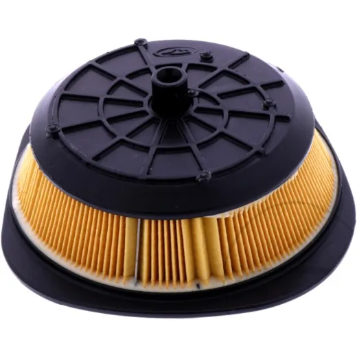 Air filter (orig spare part)