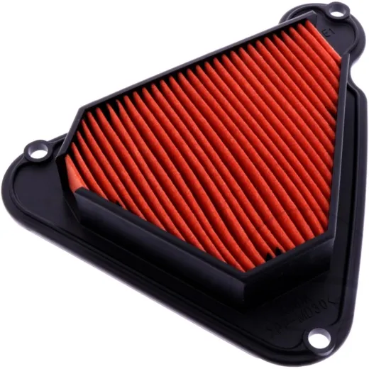 Air filter (orig spare part) 1112155