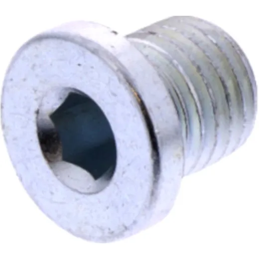 Oil drain plug (orig spare part) 1123451