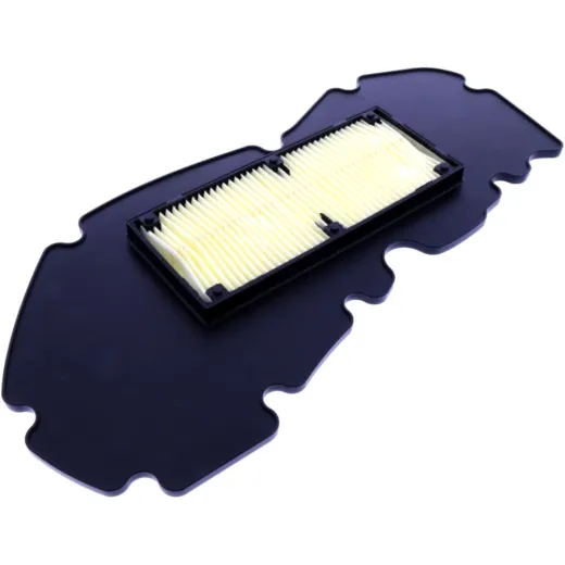 AIR FILTER (OE SPARE PART)