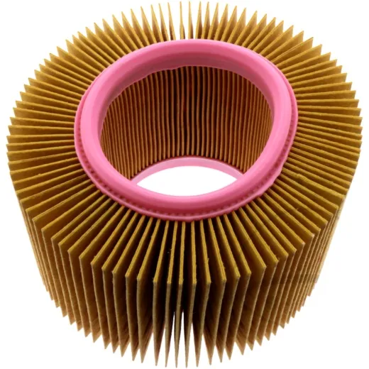 AIR FILTER (OE SPARE PART)