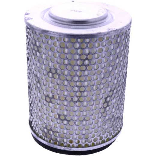 AIR FILTER (OE SPARE PART)
