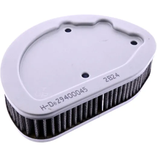 AIR FILTER (OE SPARE PART)