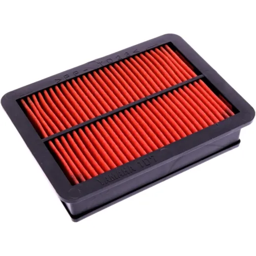 AIR FILTER (OE SPARE PART)