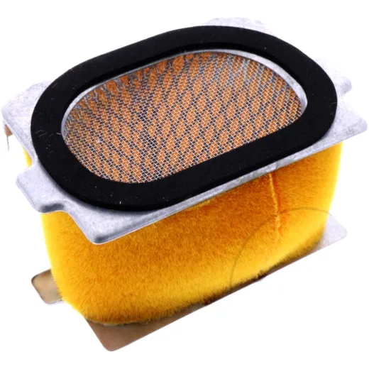 AIR FILTER (OE SPARE PART)