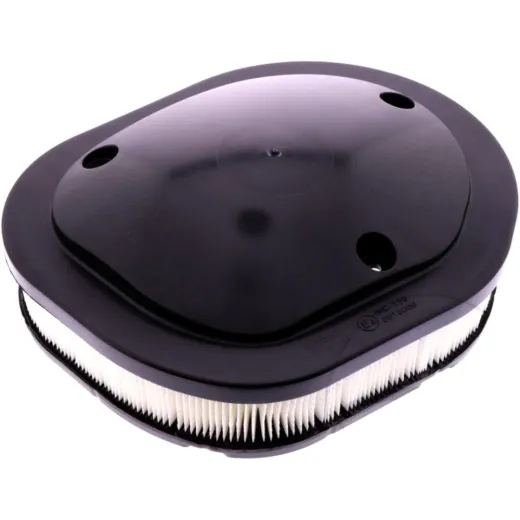 AIR FILTER (OE SPARE PART)