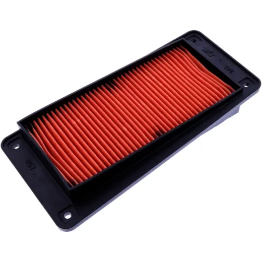 AIR FILTER (OE SPARE PART)