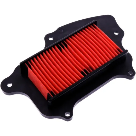 AIR FILTER (OE SPARE PART)