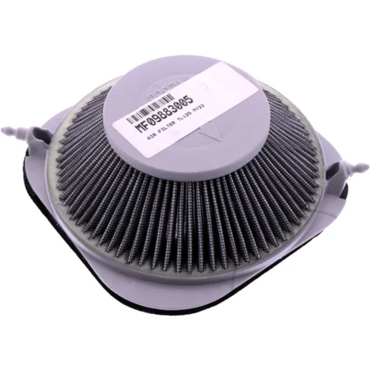 AIR FILTER (OE SPARE PART)
