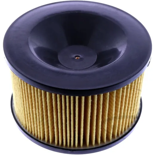 AIR FILTER (OE SPARE PART)