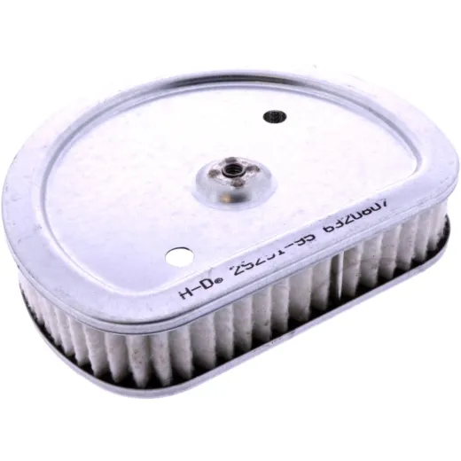 AIR FILTER (OE SPARE PART)