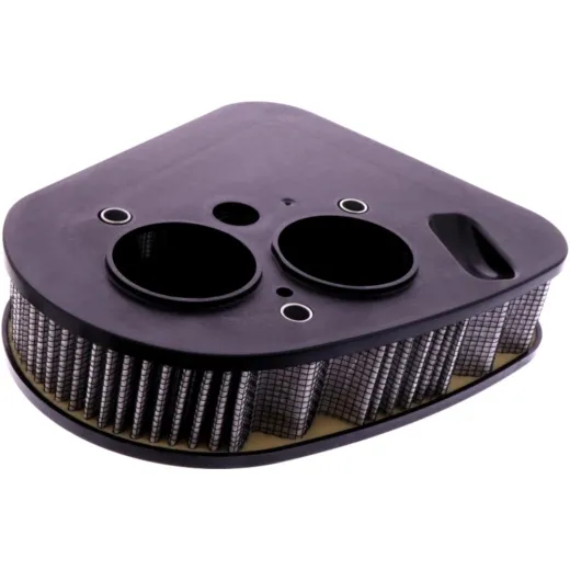 AIR FILTER (OE SPARE PART)