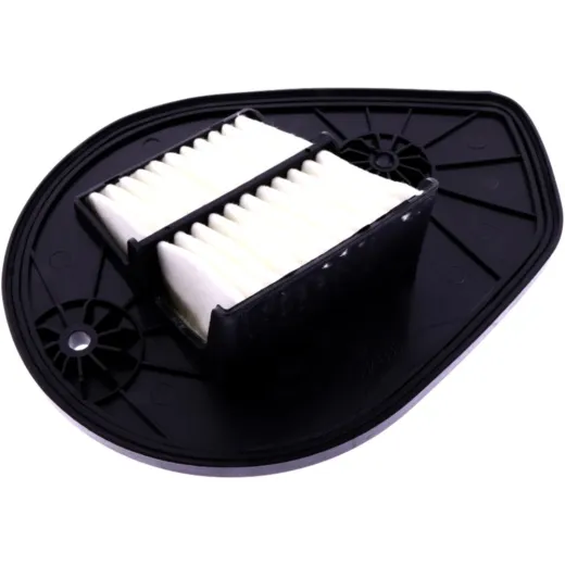 AIR FILTER (OE SPARE PART)