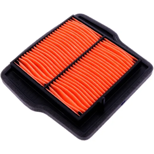 AIR FILTER (OE SPARE PART)