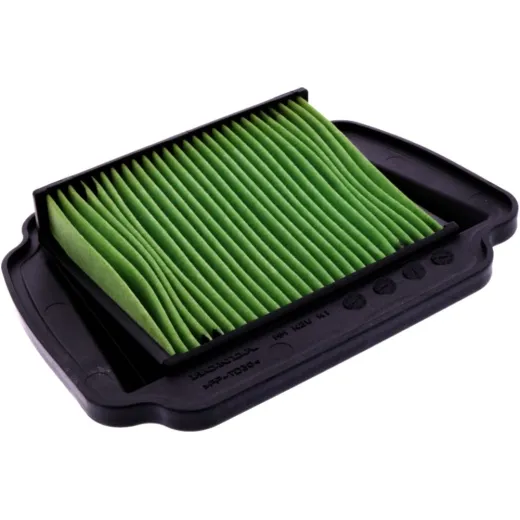 AIR FILTER (OE SPARE PART)