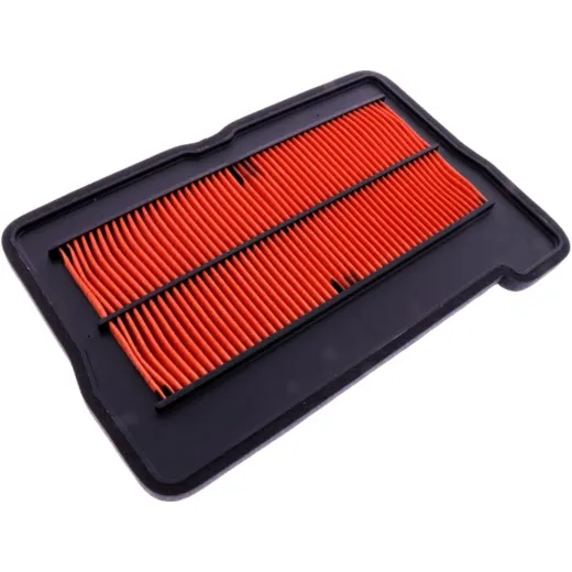 AIR FILTER (OE SPARE PART)