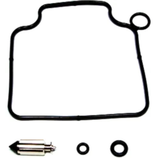 Carburetor repair kit CABH22
